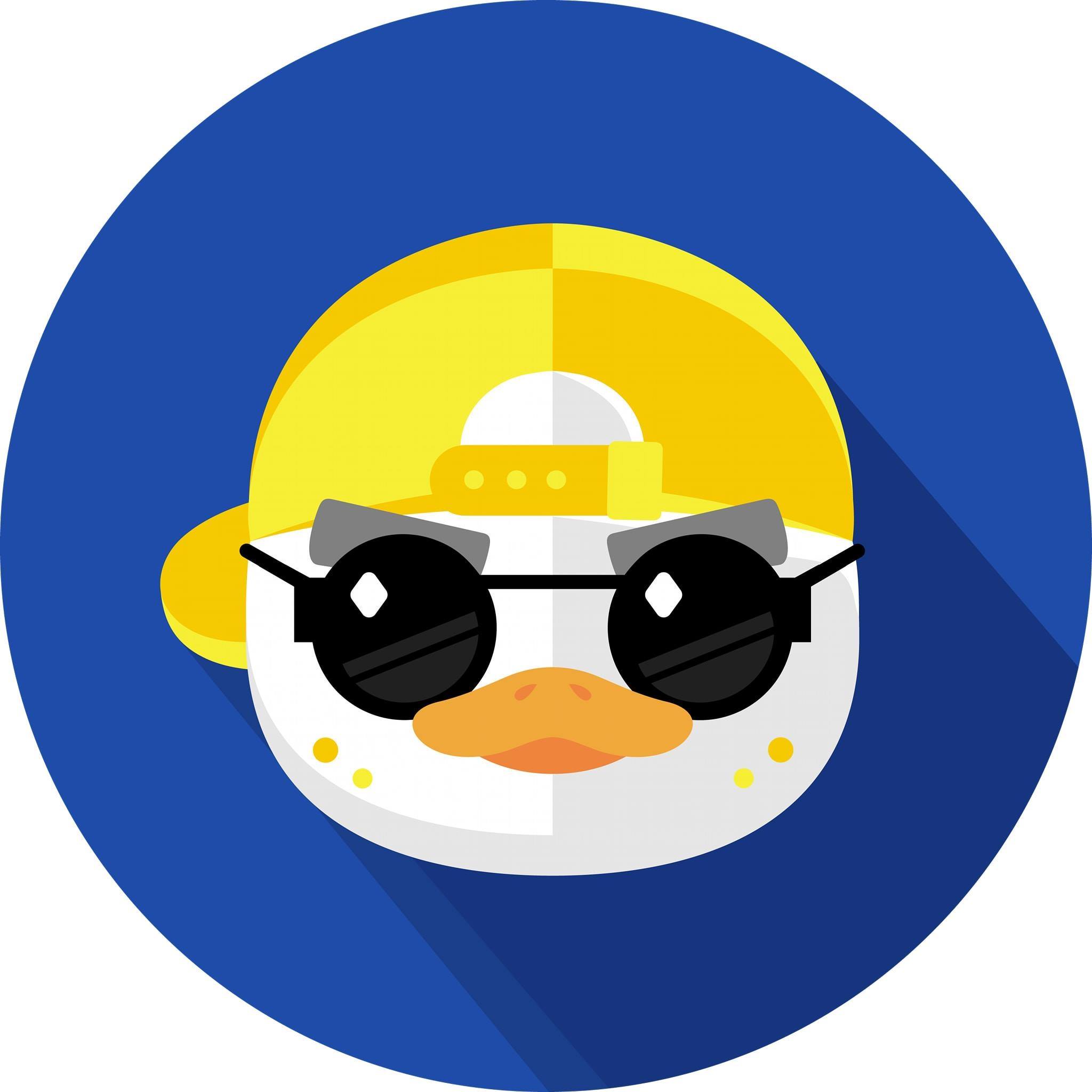 DataRockie